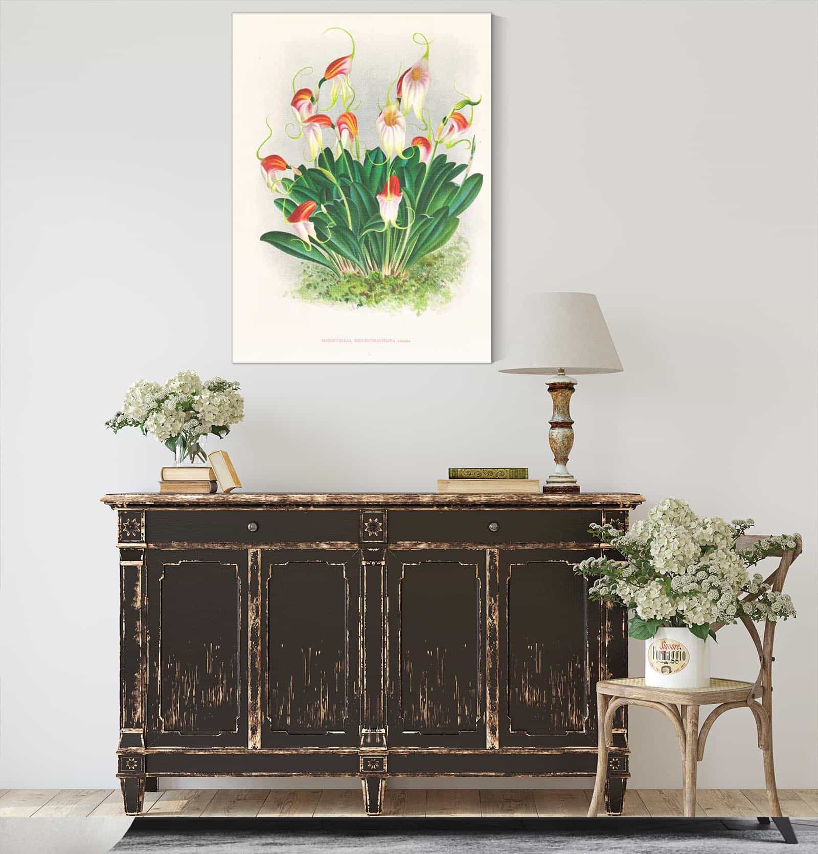 Masdevallia Reichenbachiana by Jean Jules Linden