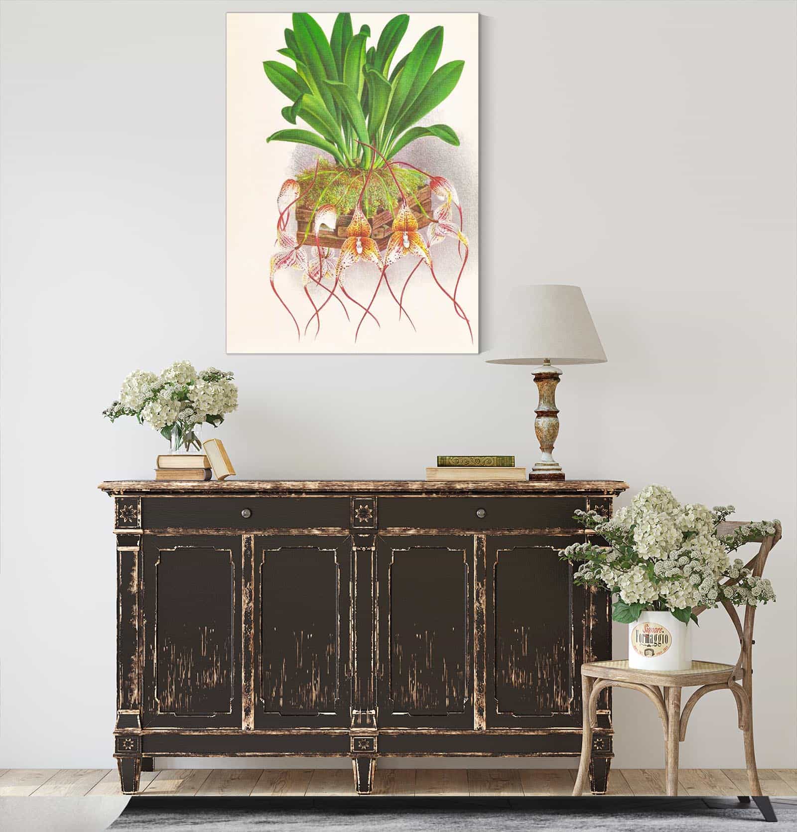 Masdevallia Roezli by Jean Jules Linden