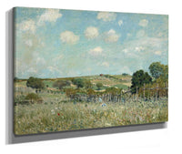 Meadow by Alfred Sisley