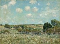Meadow by Alfred Sisley
