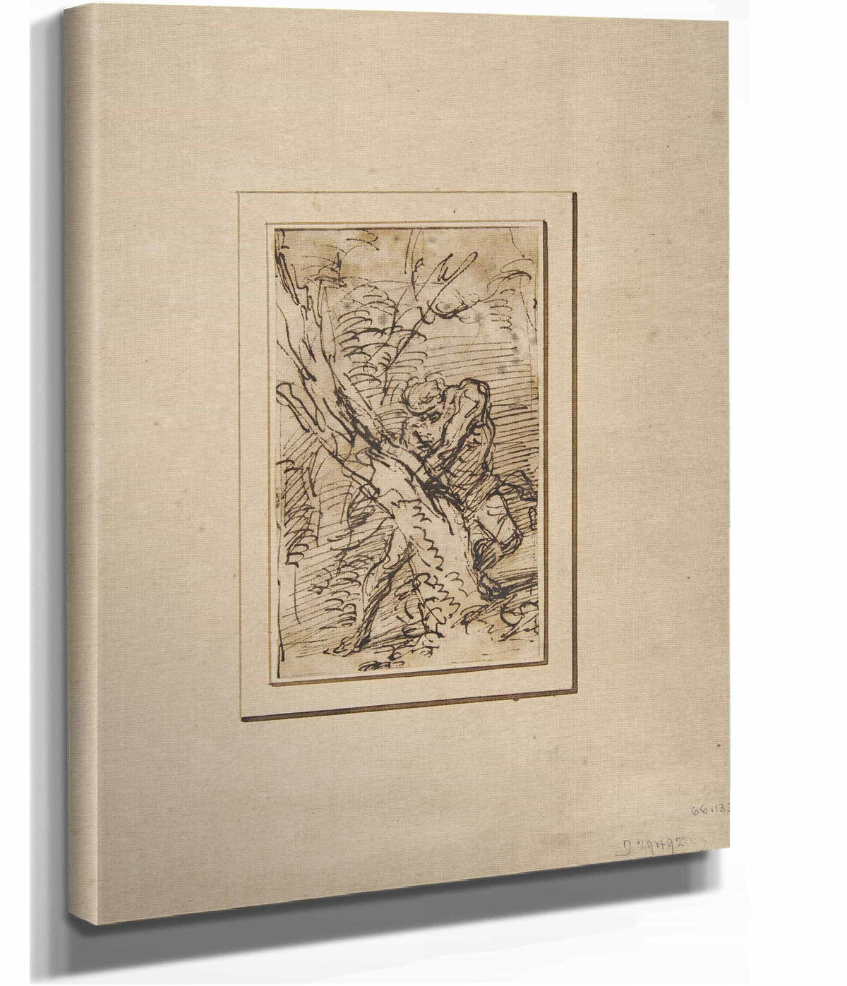 Milo Of Crotona   by Salvator Rosa