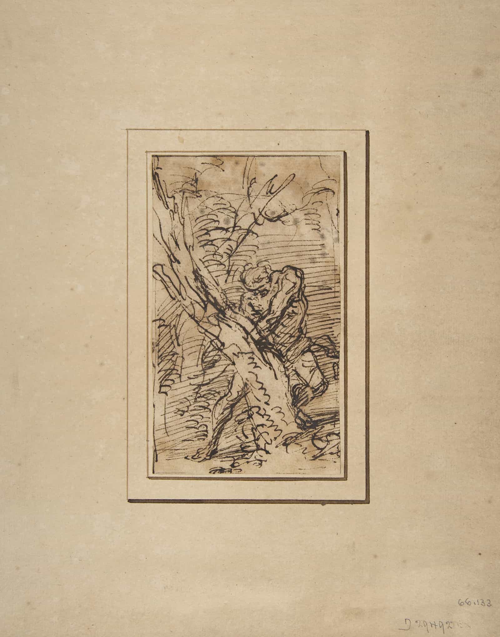 Milo Of Crotona   by Salvator Rosa