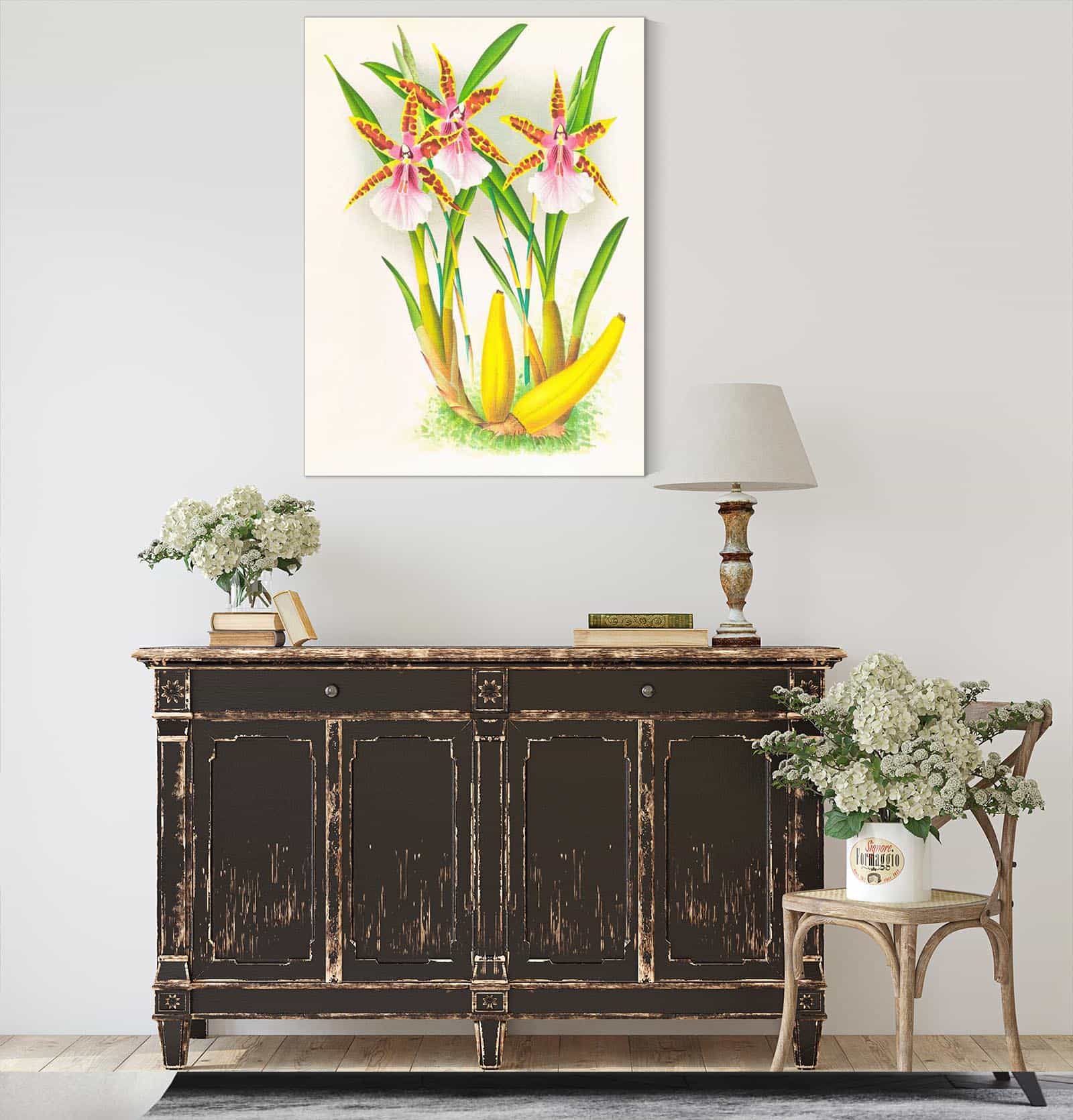 Miltonia Blunti by Jean Jules Linden