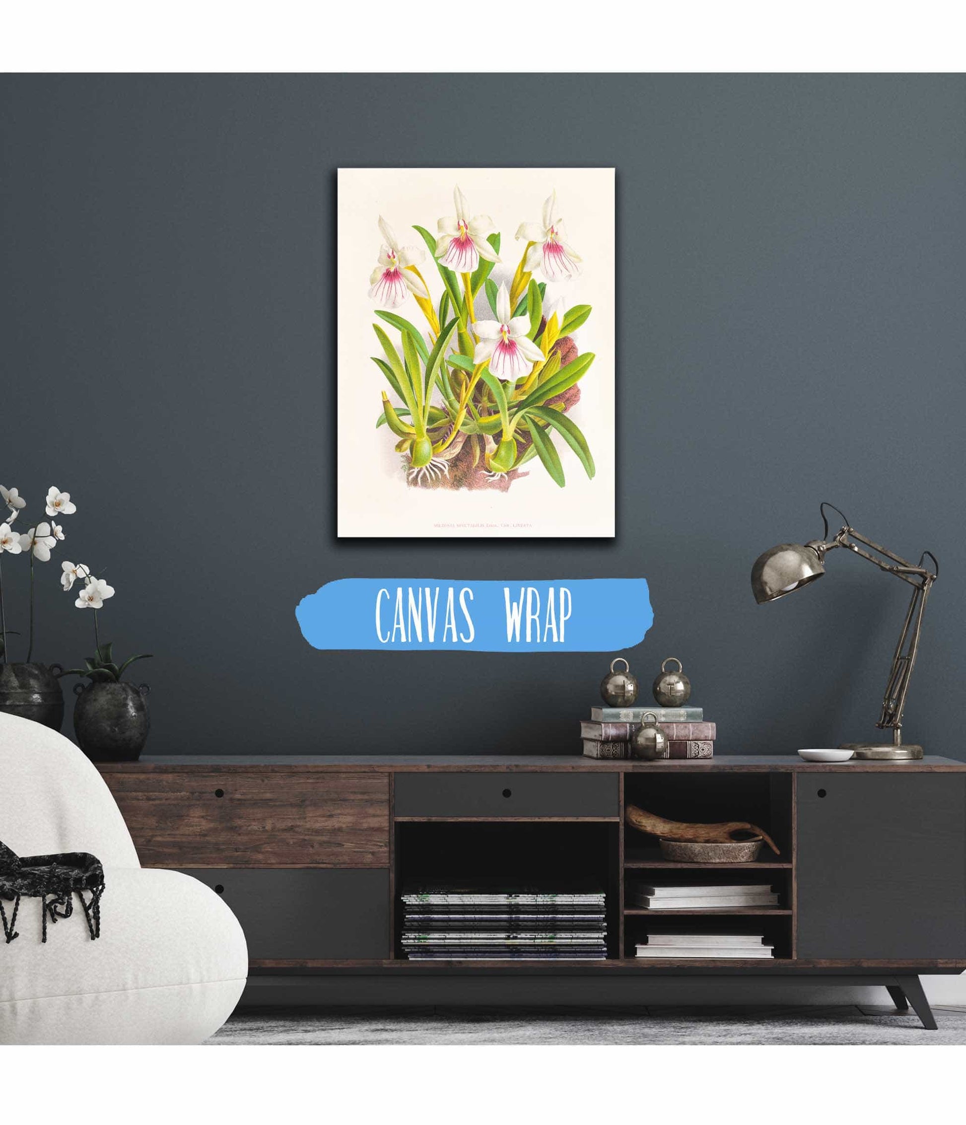 Miltonia Spectabilis by Jean Jules Linden