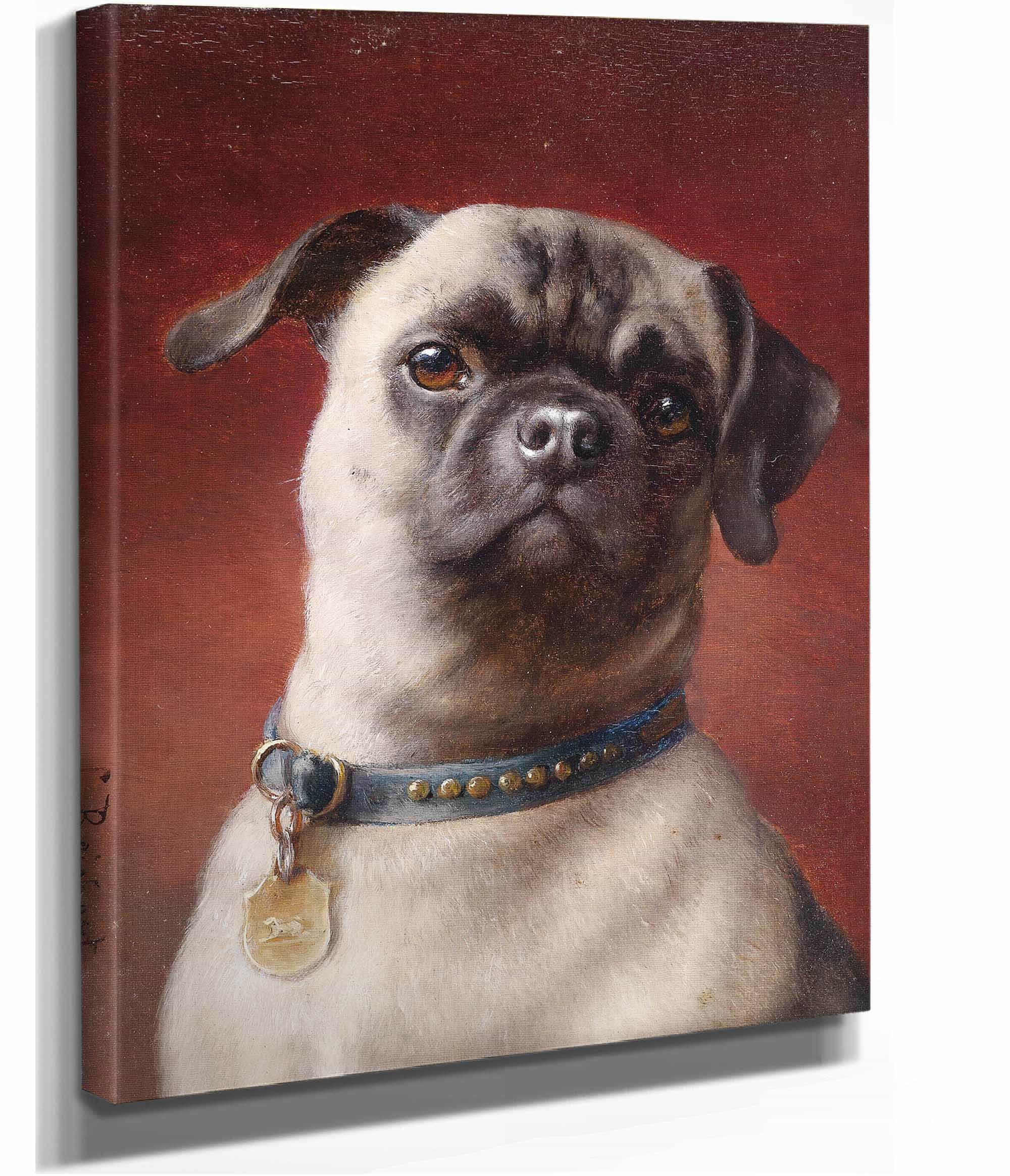 Mops by Carl Reichert