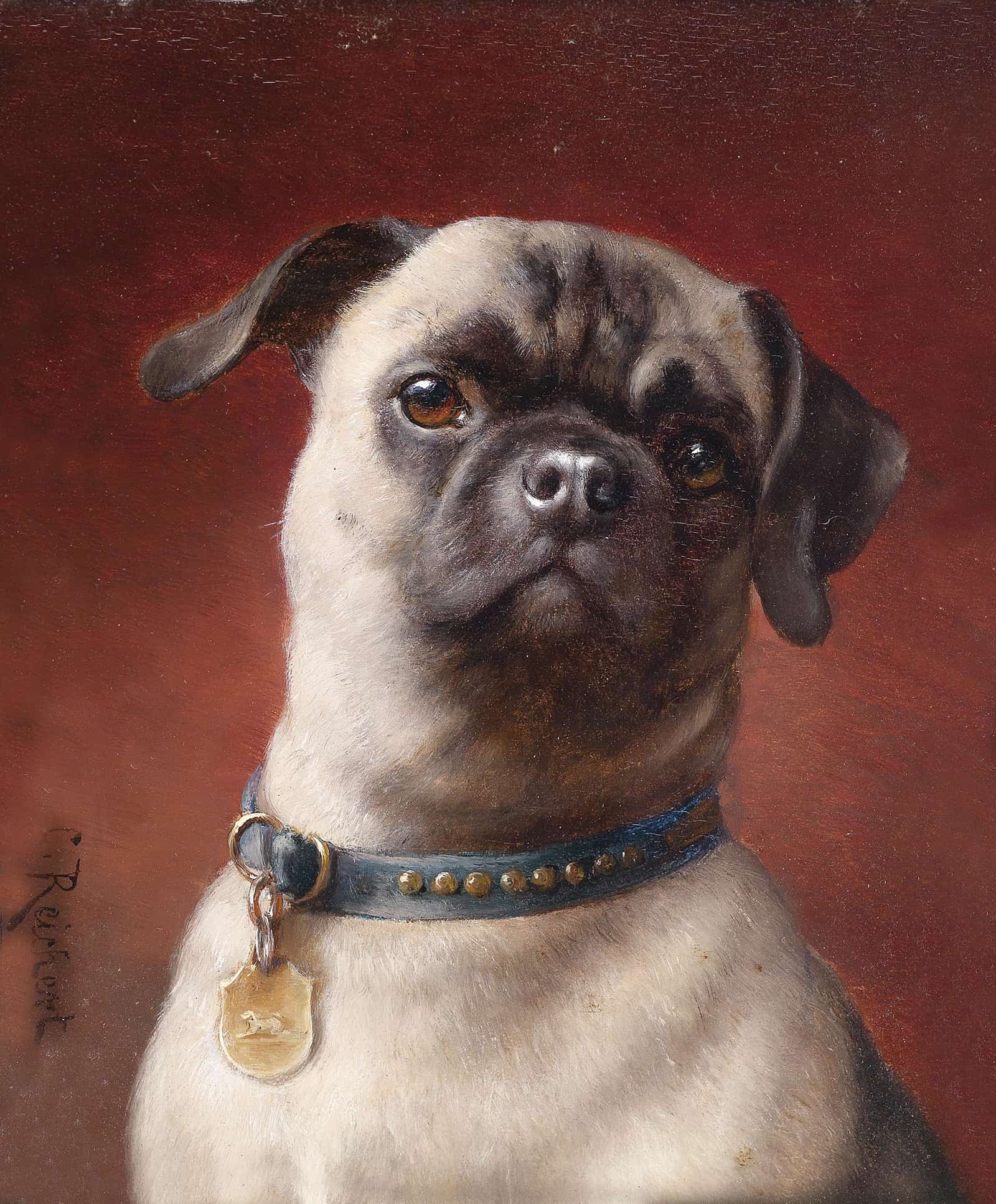 Mops by Carl Reichert