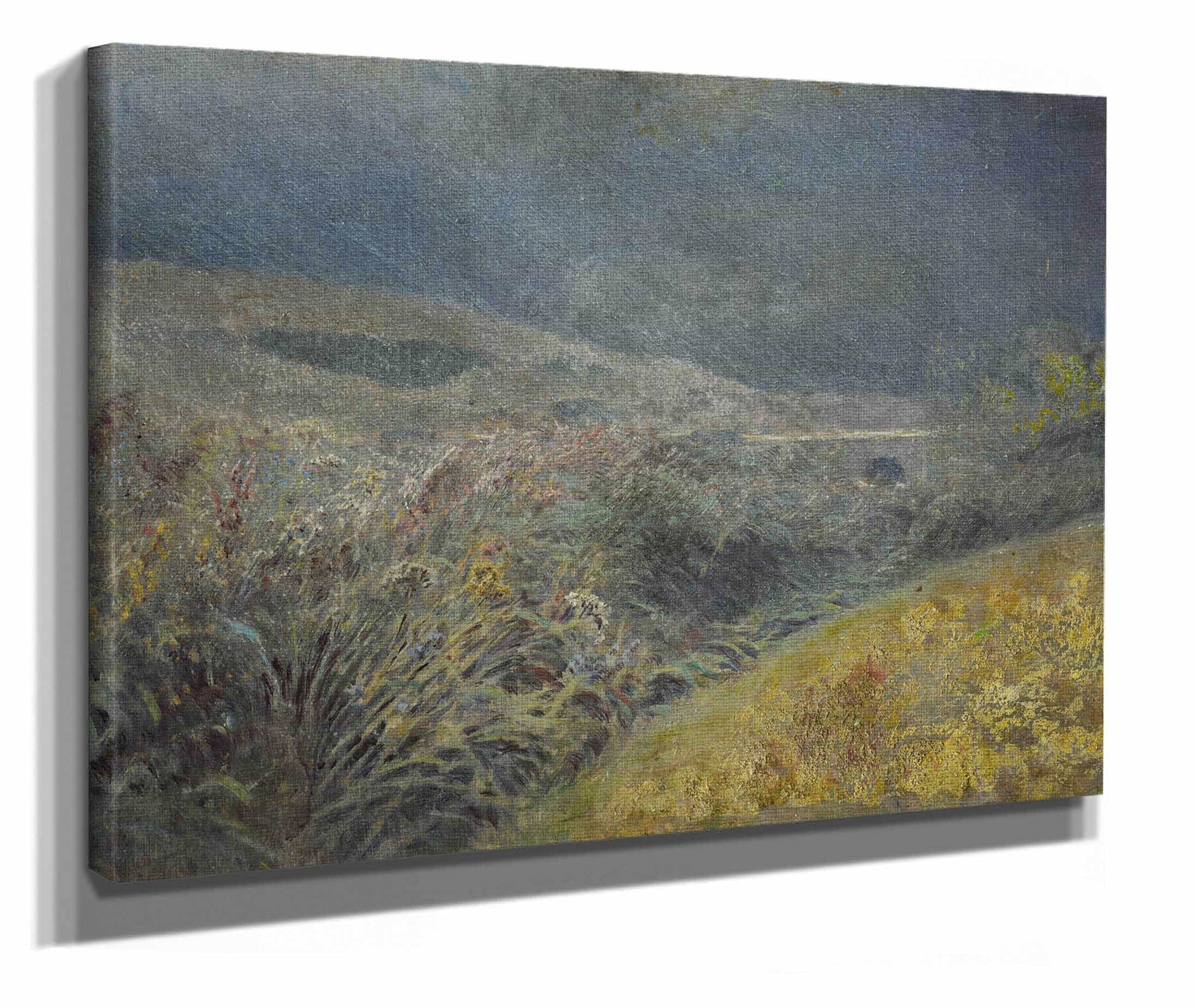 Motif From The Belianske Tatra  by Ladislav Mednyanszky