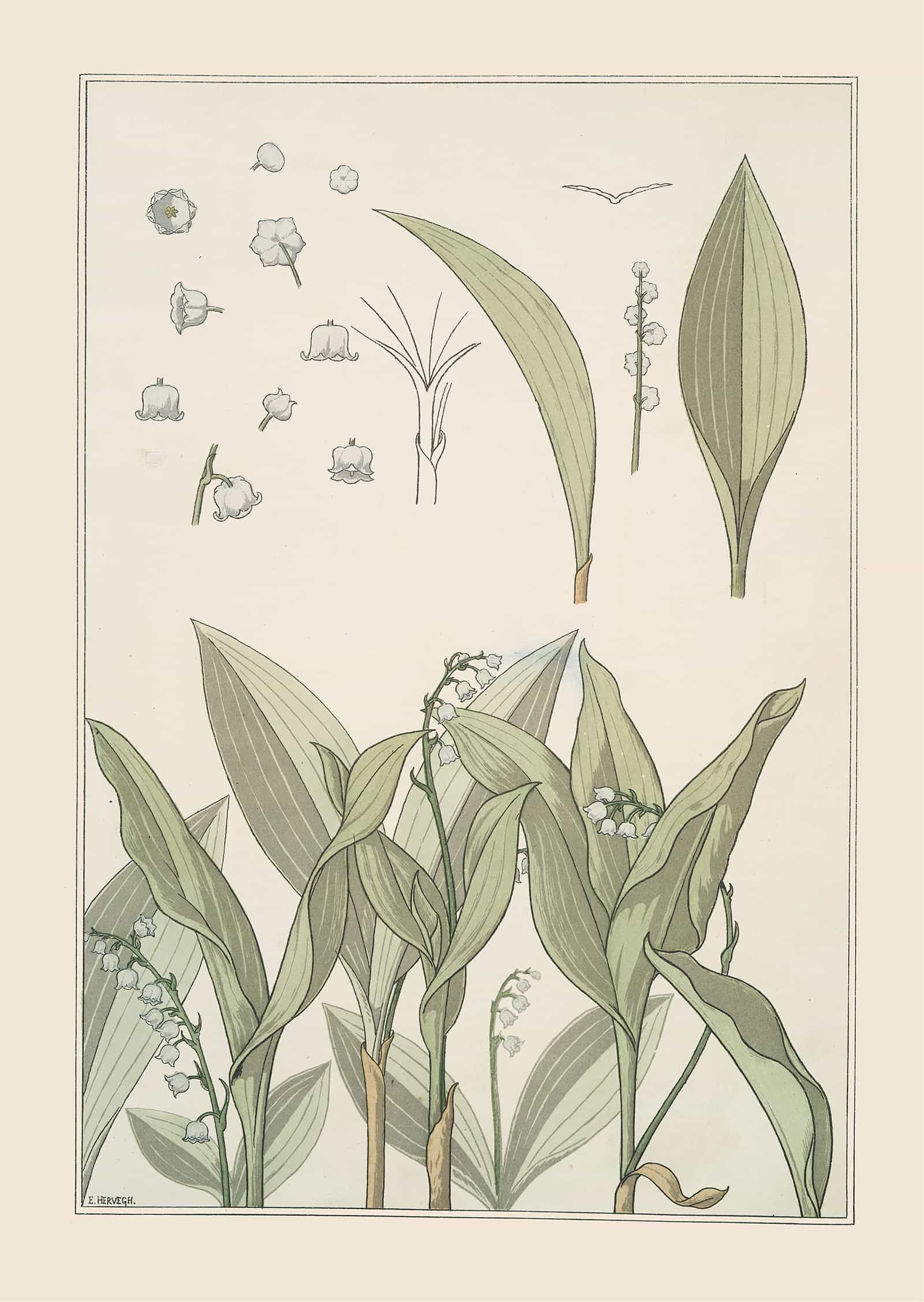 Muguet by Maurice Pillard Verneuil