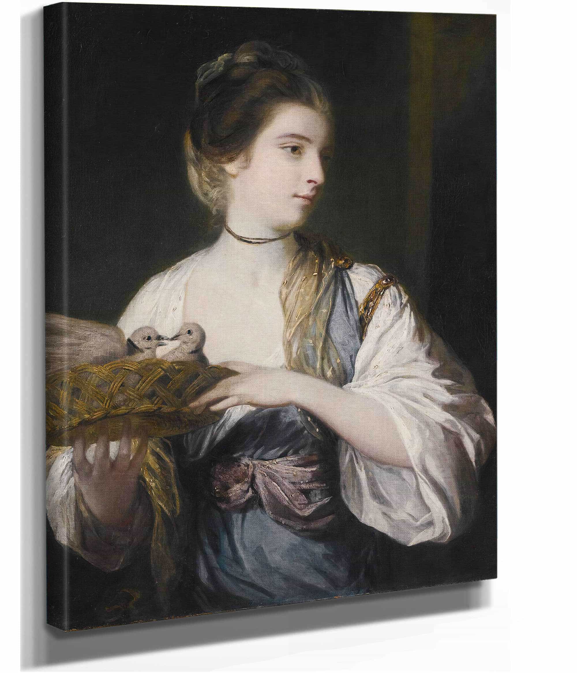 Nancy Reynolds With Doves by Sir Joshua Reynolds