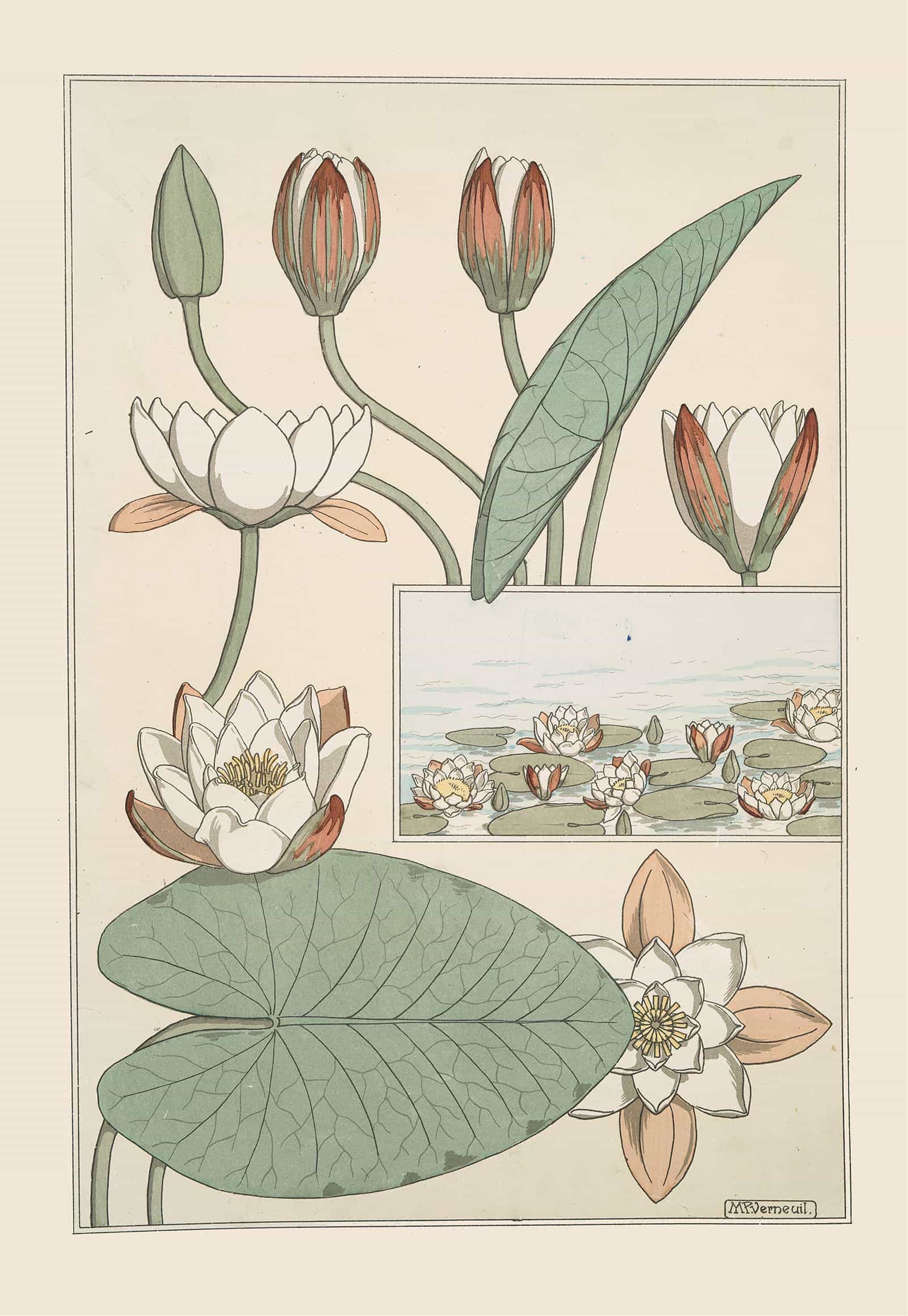 Nenuphar by Maurice Pillard Verneuil