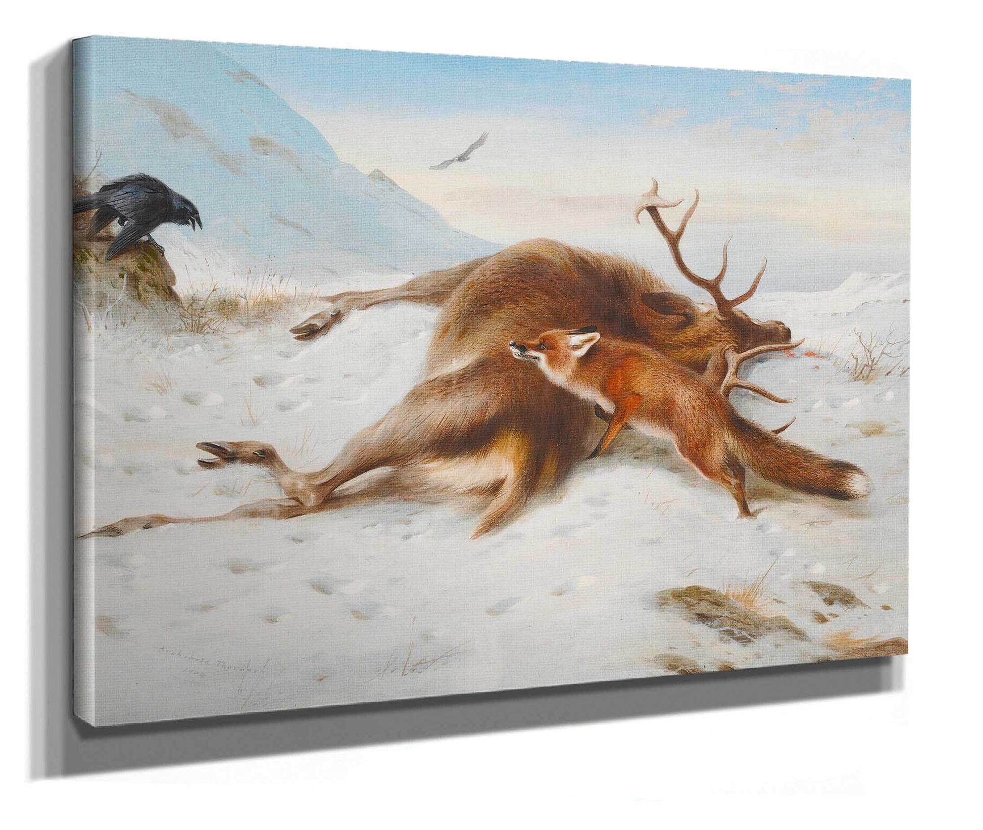 Not For The Larder by Archibald Thorburn