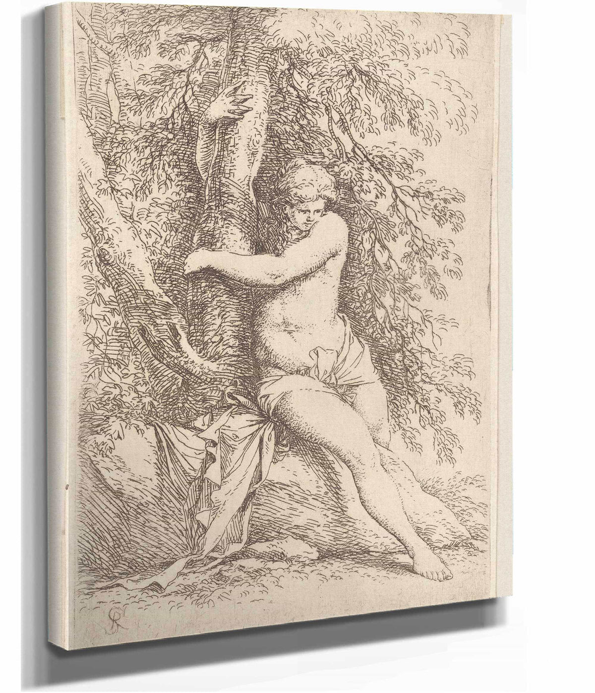 Nude Seated Holding Onto A Tree  by Salvator Rosa