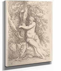 Nude Seated Holding Onto A Tree  by Salvator Rosa