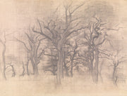 Oak Trees by Vilhelm Hammershoi