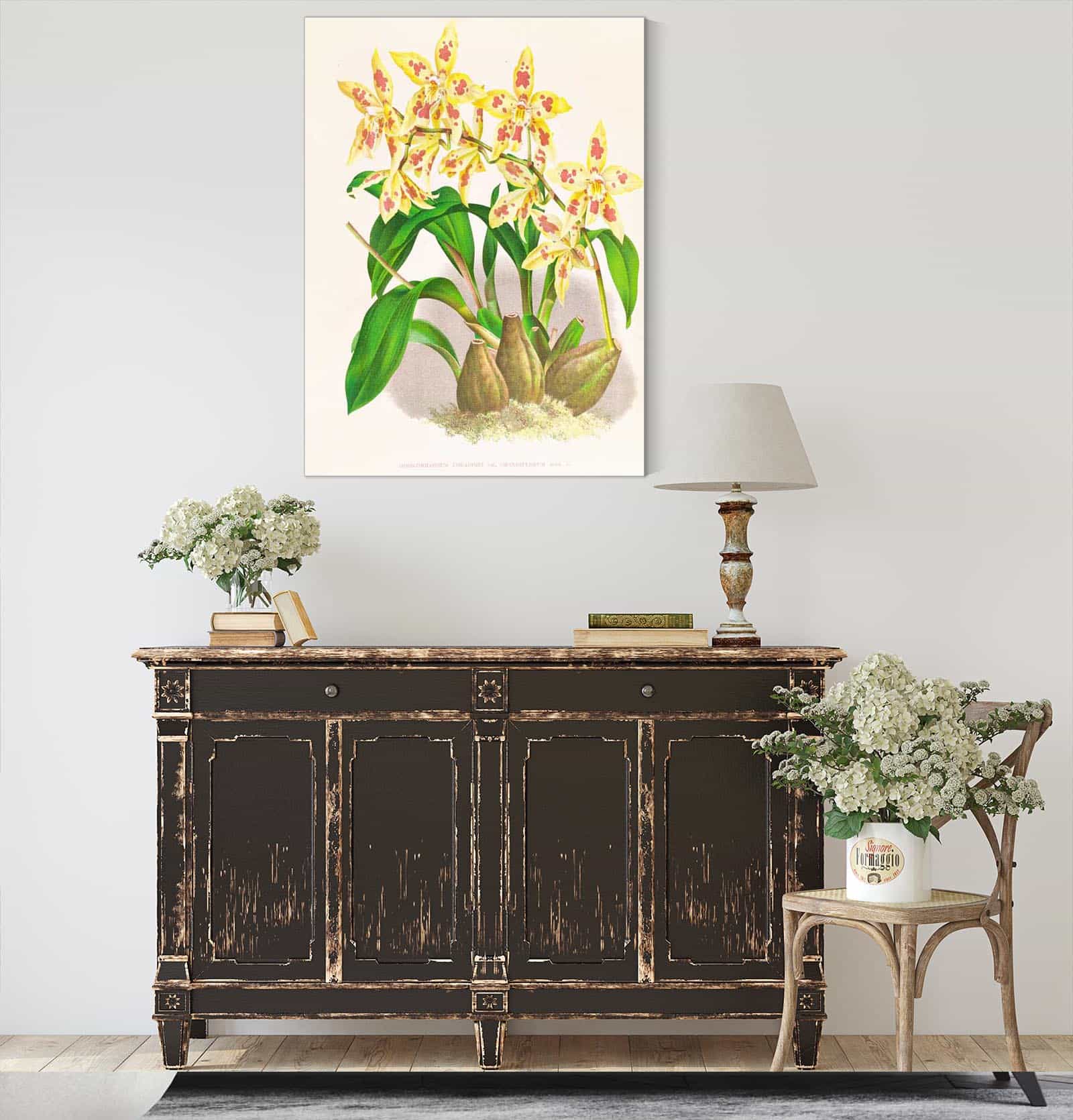 Odontoglossum Coradinei Var Grandiflorum by Jean Jules Linden