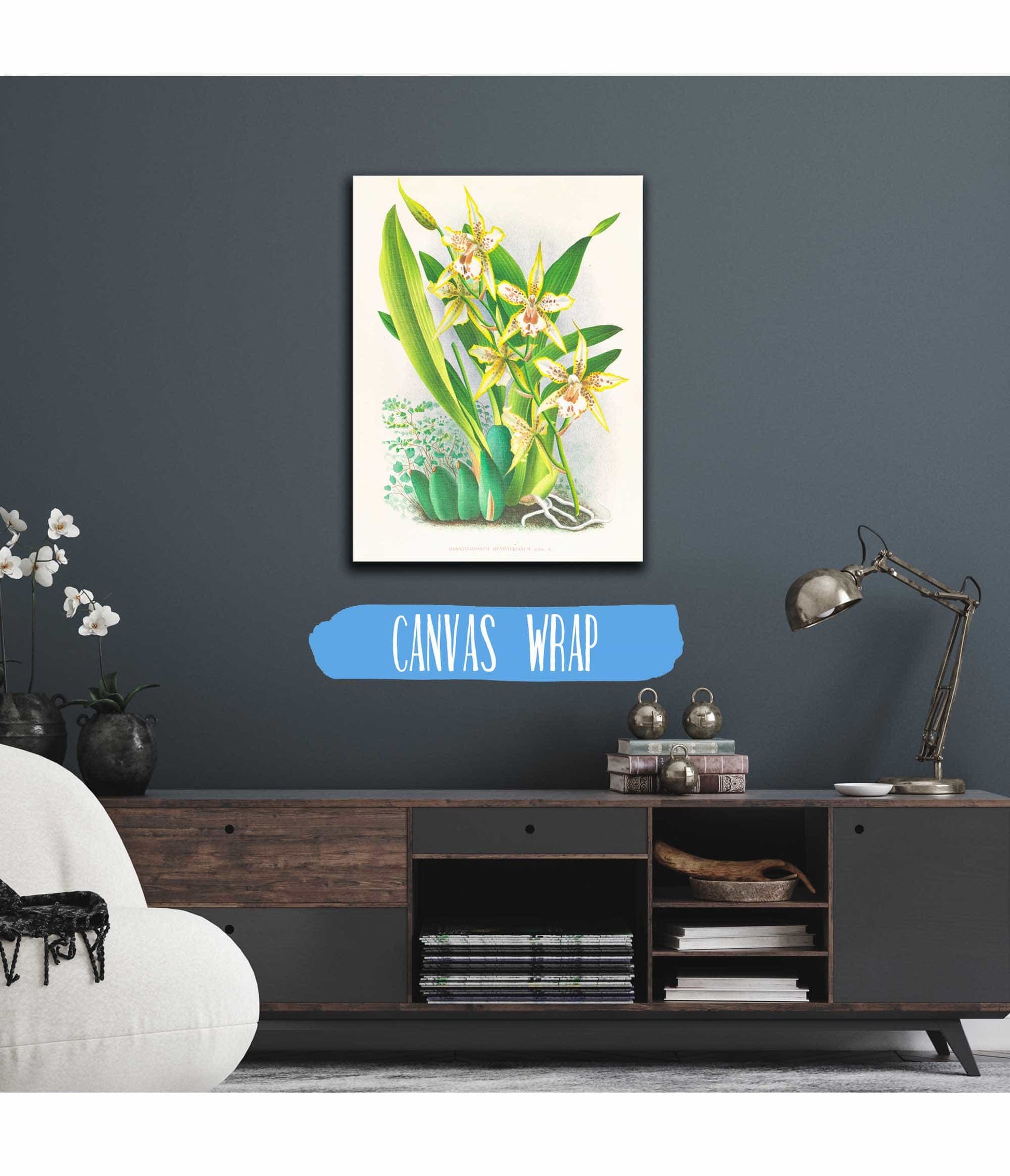 Odontoglossum Duvivierianum by Jean Jules Linden