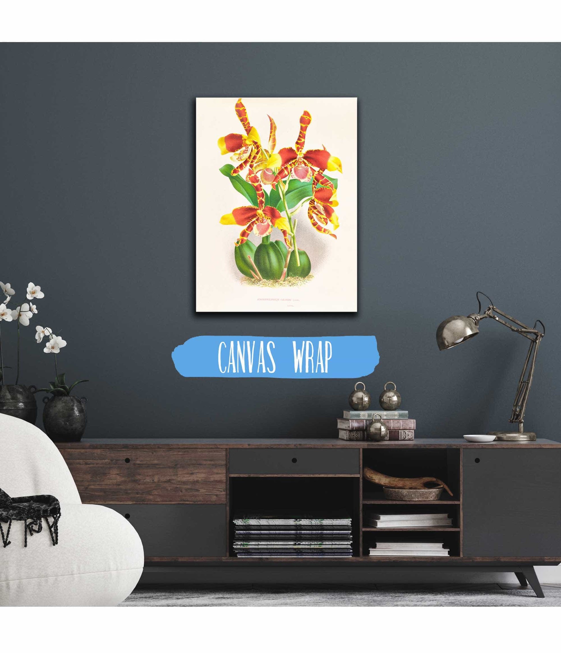 Odontoglossum Grande by Jean Jules Linden