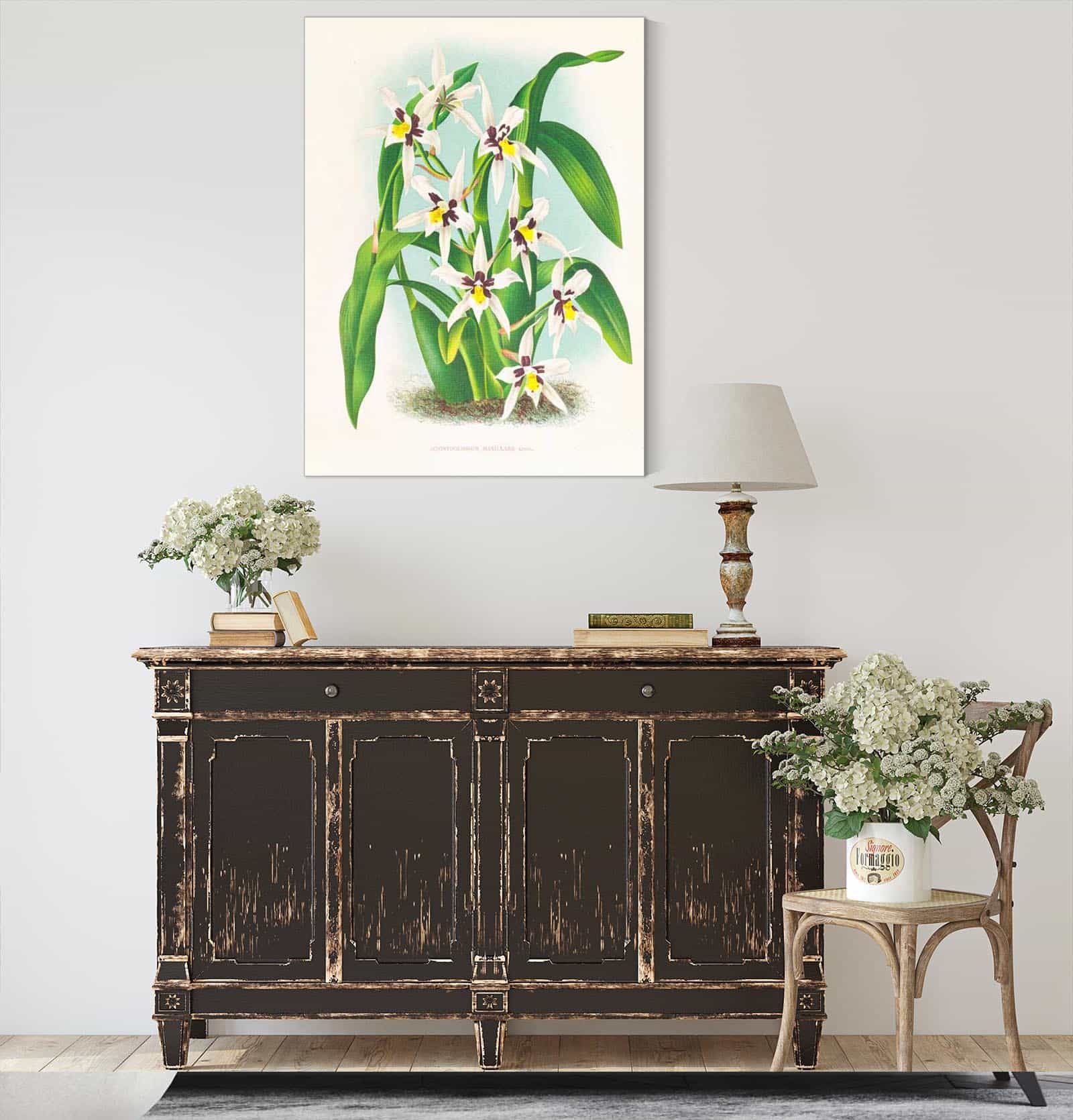 Odontoglossum Maxillare by Jean Jules Linden