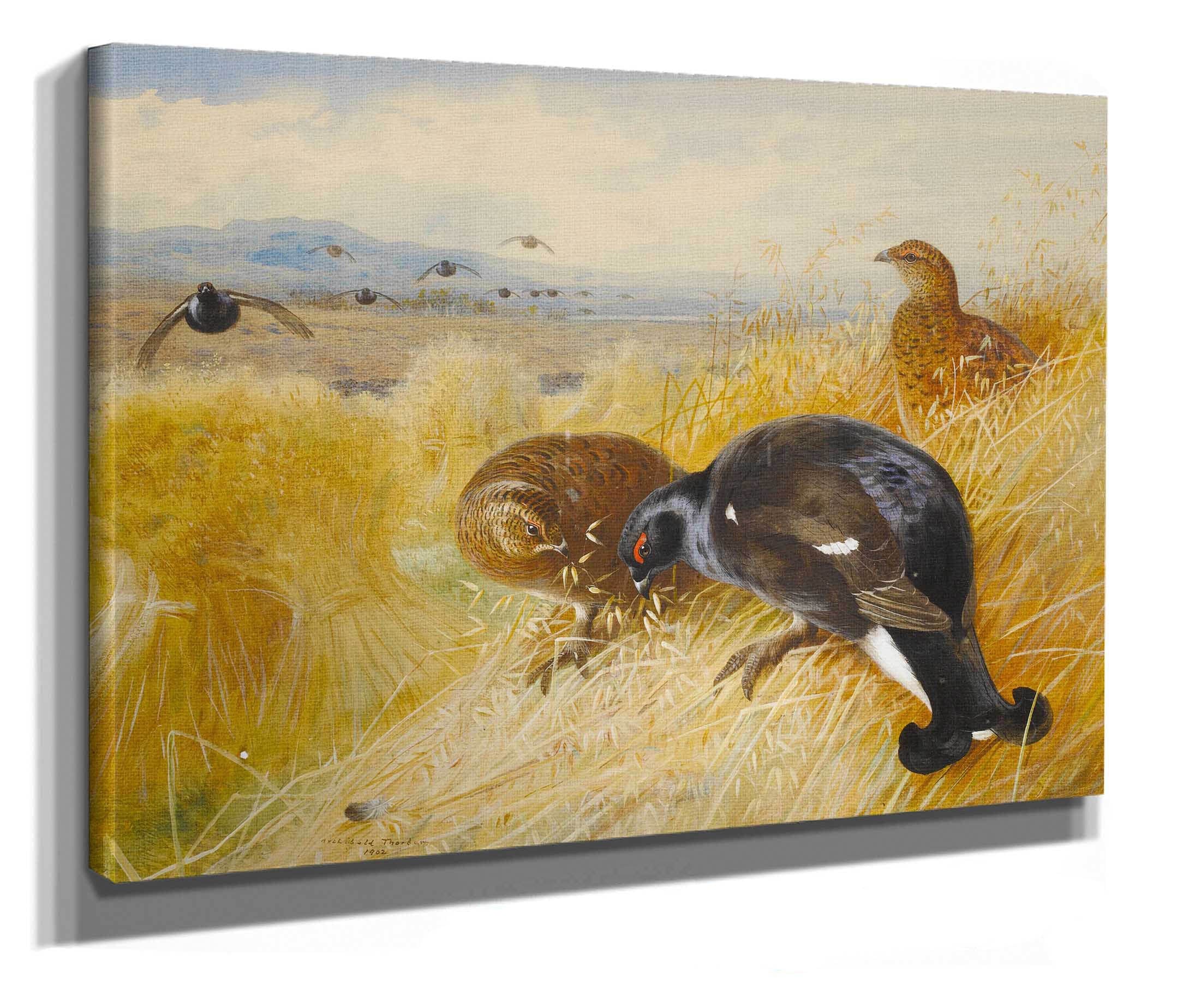On The Stooksblackgame by Archibald Thorburn
