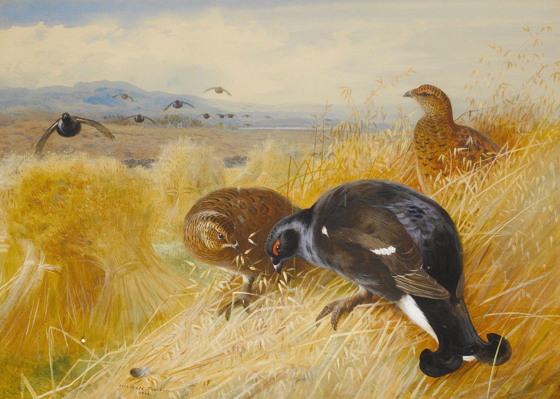 On The Stooksblackgame by Archibald Thorburn