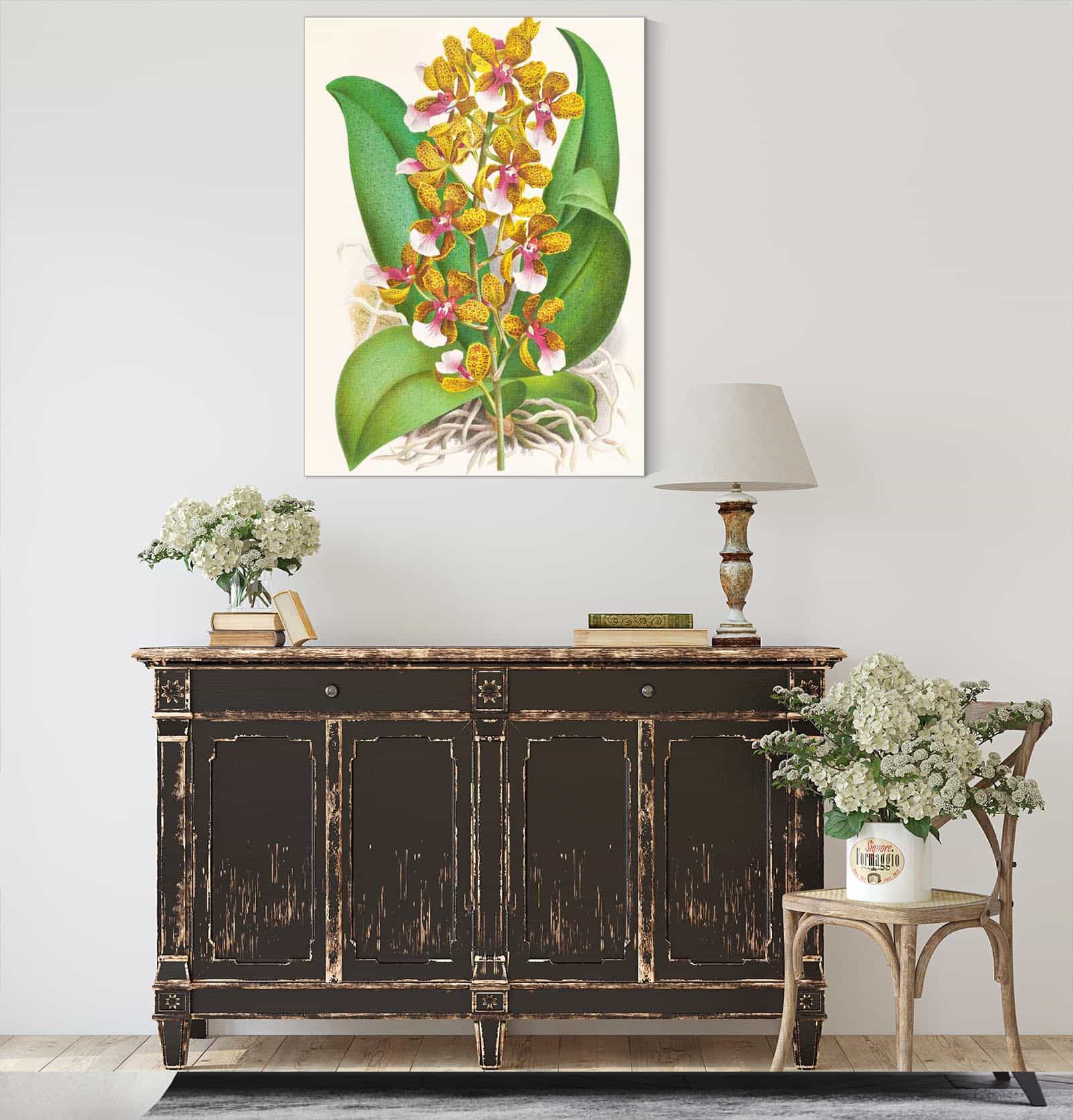 Oncidium Lannceanum by Jean Jules Linden