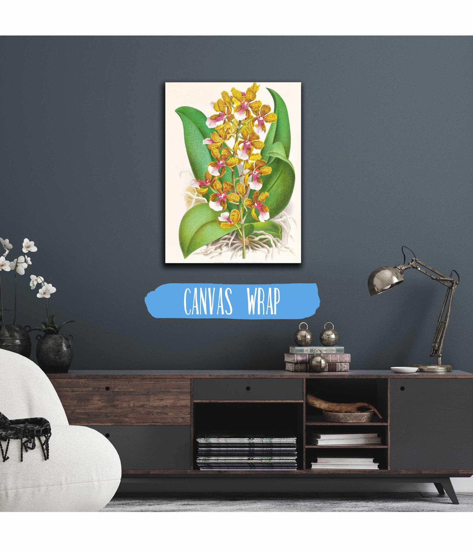 Oncidium Lannceanum by Jean Jules Linden