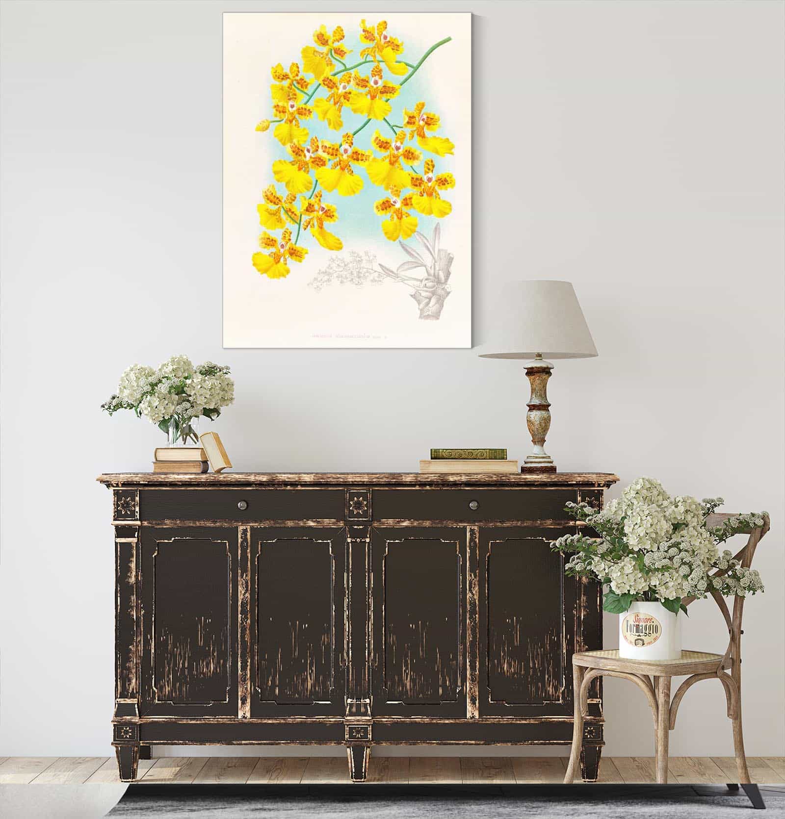 Oncidium Marshallianum by Jean Jules Linden