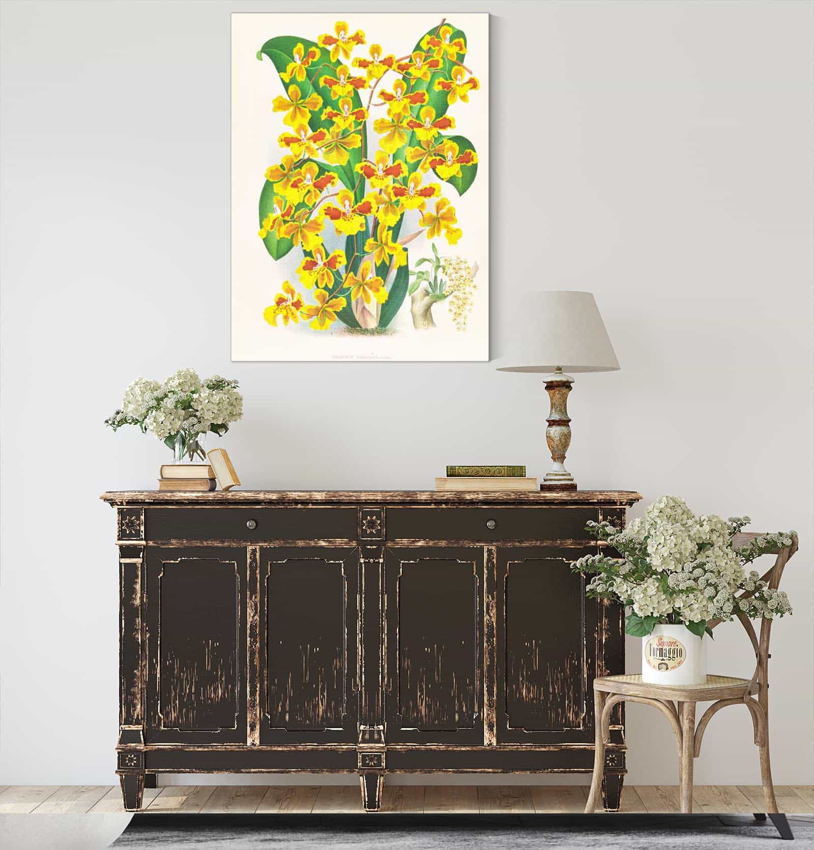 Oncidium Sarcodes by Jean Jules Linden
