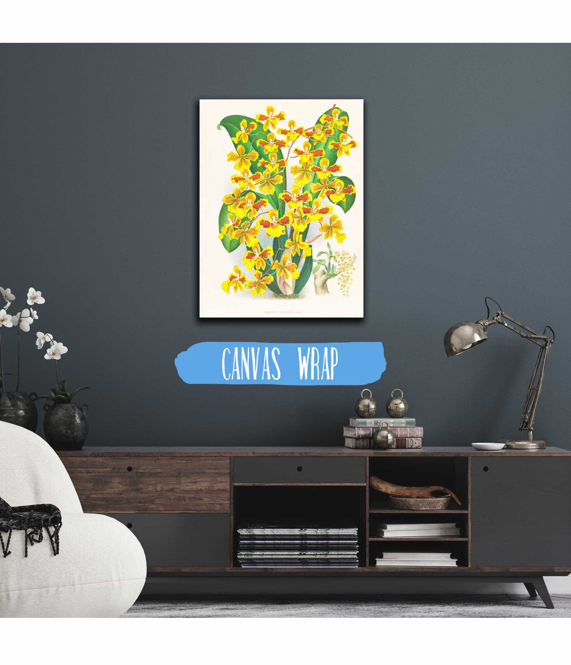 Oncidium Sarcodes by Jean Jules Linden