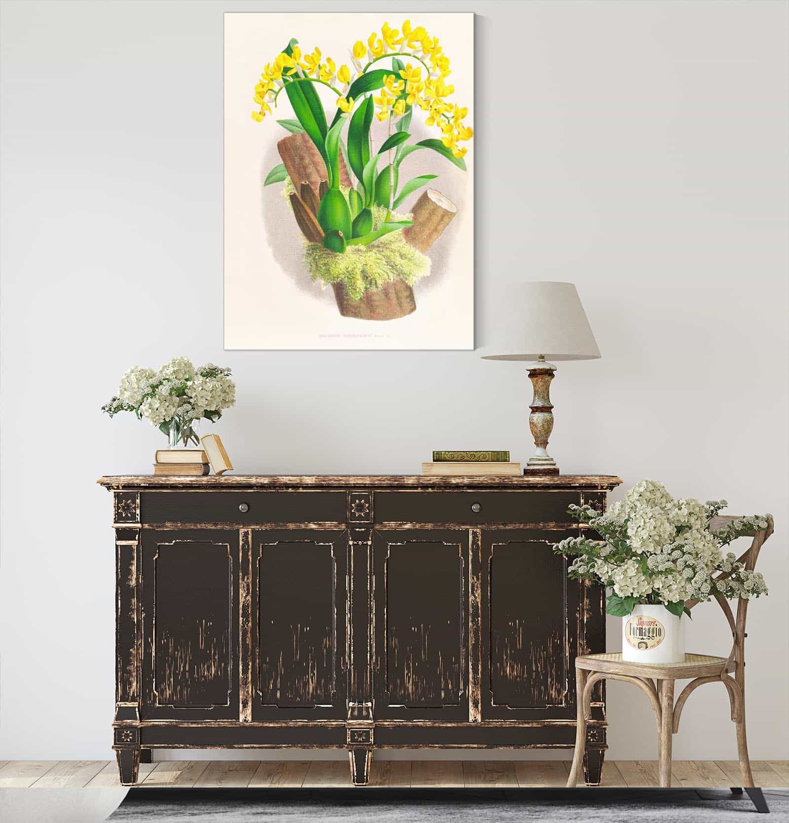 Oncidium Warscewiczi by Jean Jules Linden
