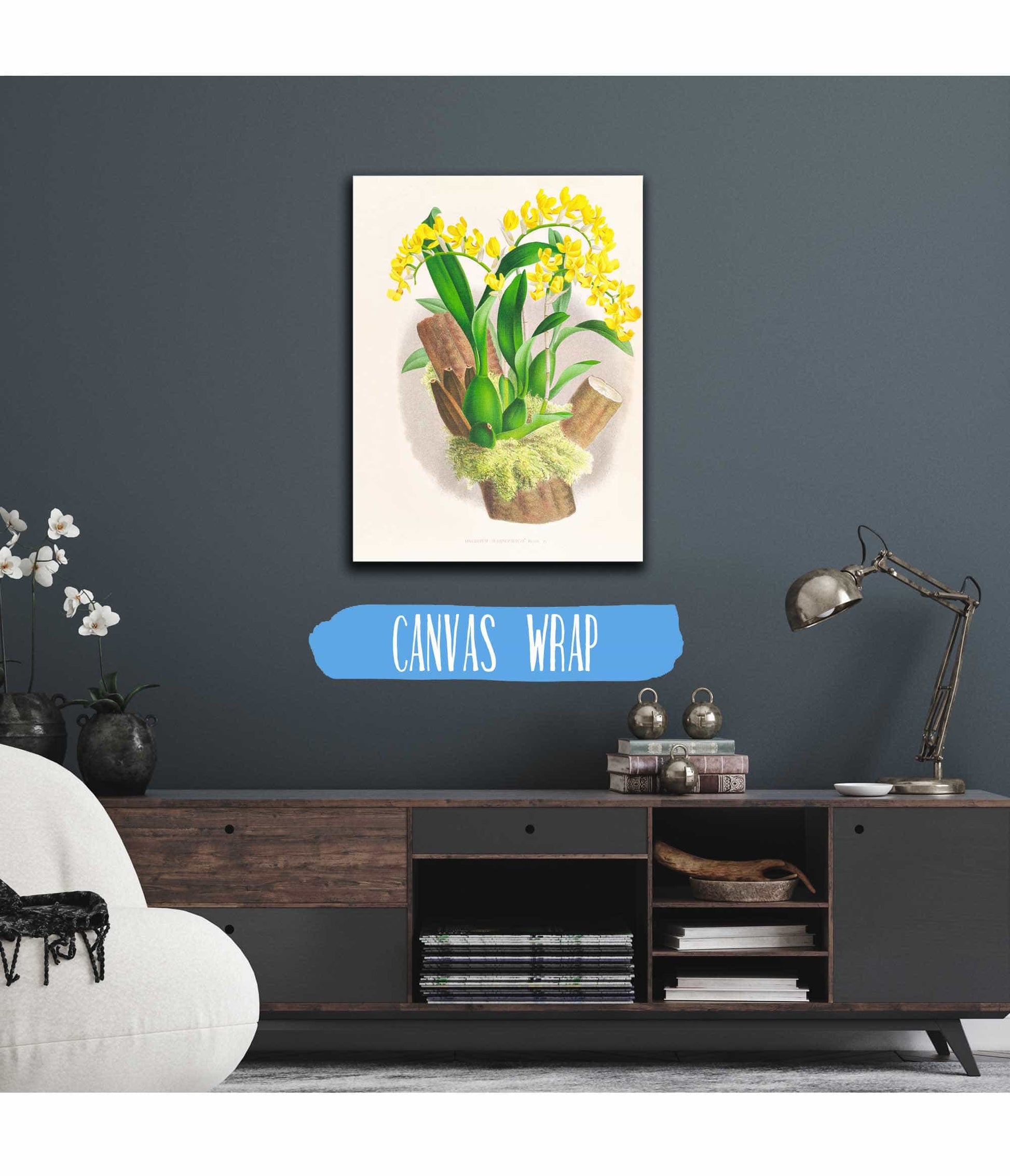 Oncidium Warscewiczi by Jean Jules Linden