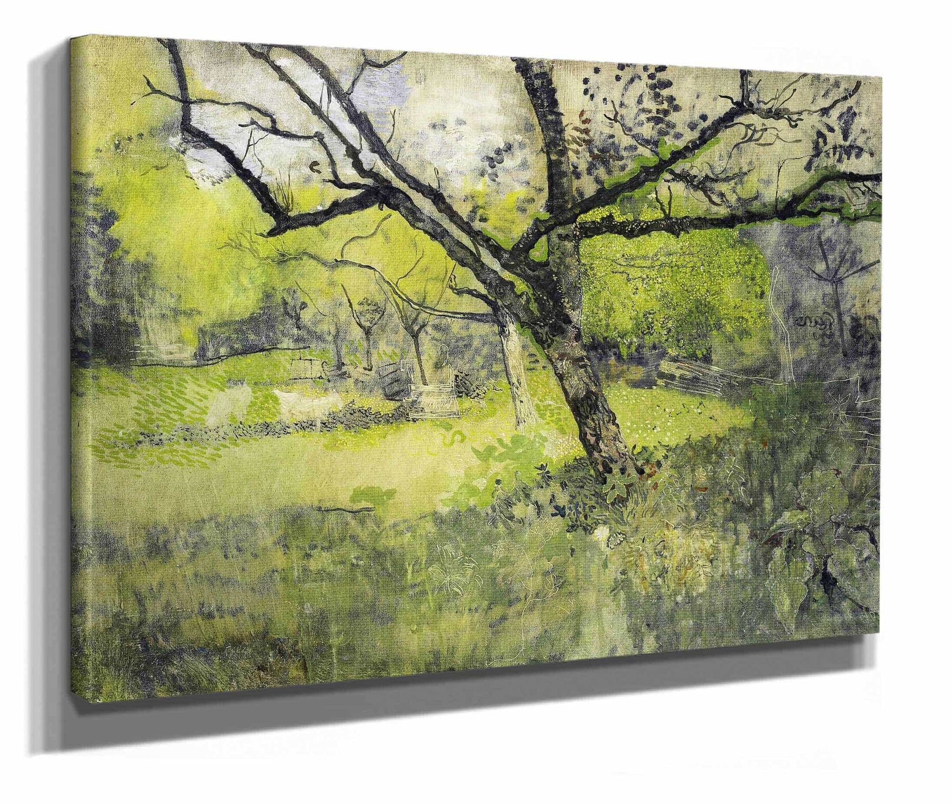 Orchard At Eemnes by Richard Nicolaus Roland Holst