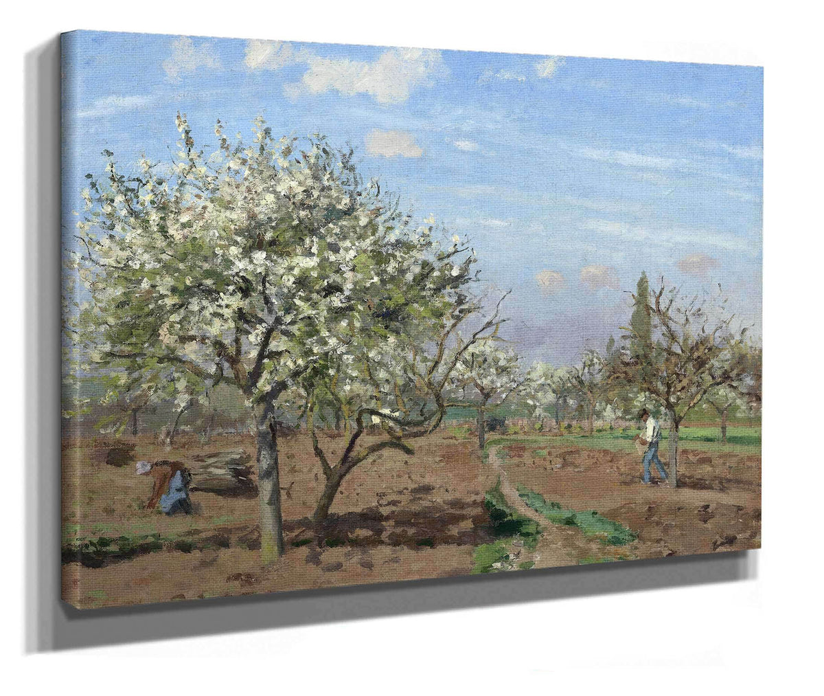 Orchard In Bloomlouveciennes by Camille Pissarro