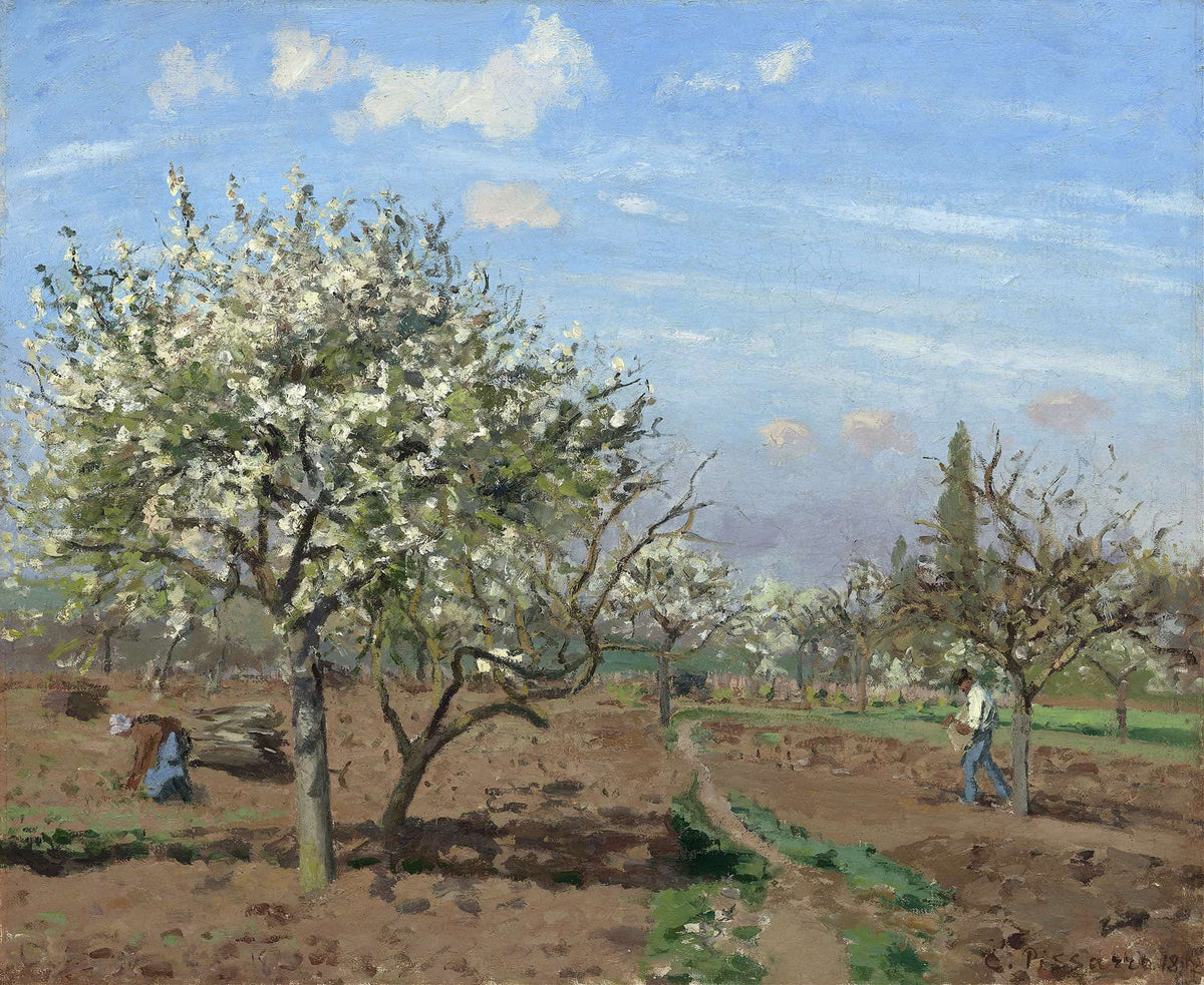 Orchard In Bloomlouveciennes by Camille Pissarro