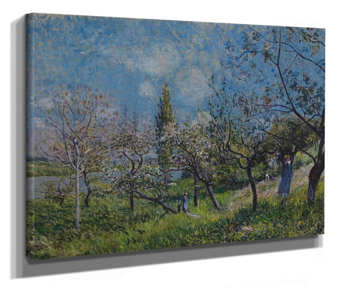 Orchard In Spring by Alfred Sisley