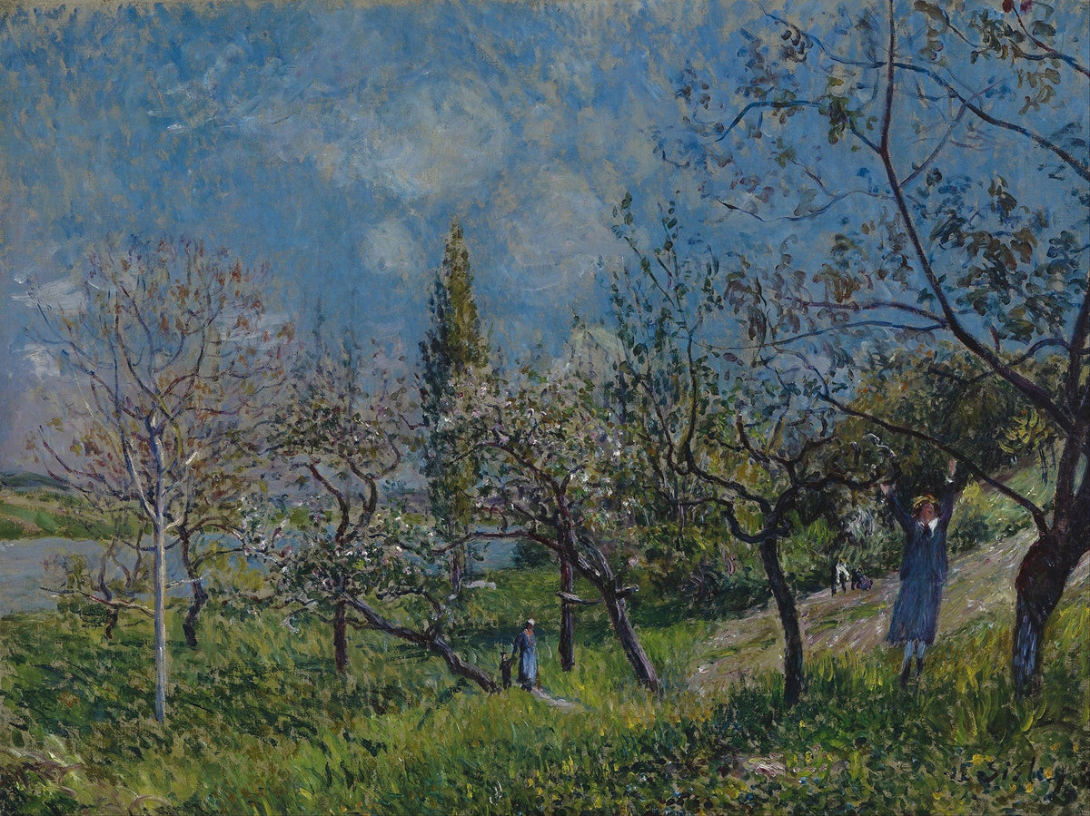 Orchard In Spring by Alfred Sisley