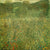 Orchard, 1905 06 By Gustav Klimt
