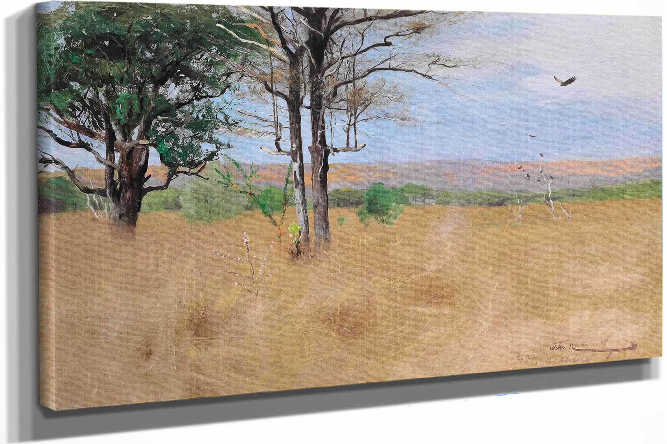 Ost Africa by Wilhelm Kuhnert