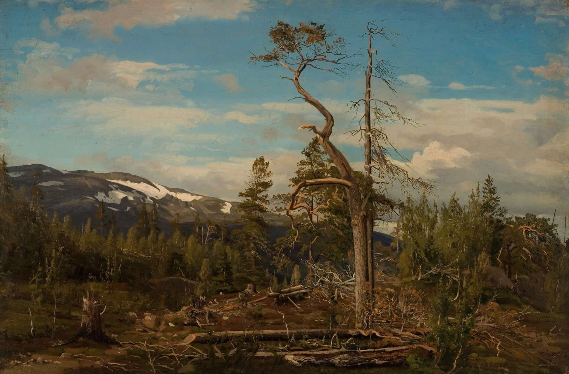 Overst I Setesdal by Amaldus Nielsen