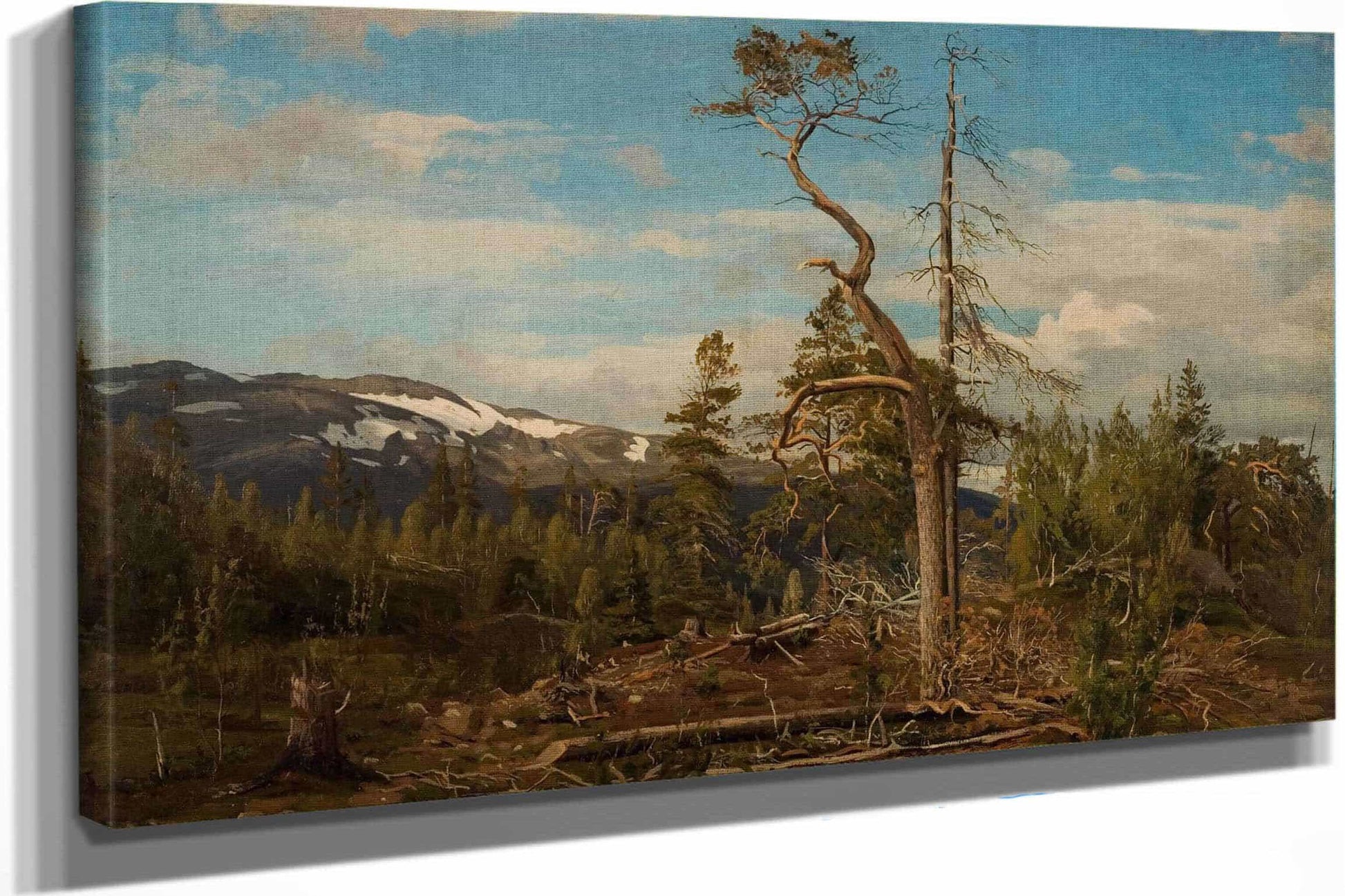 Overst I Setesdal by Amaldus Nielsen