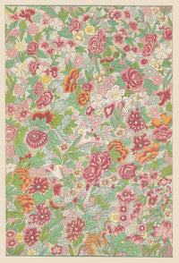 Examples Of Chinese Ornament Pl  by Owen Jones