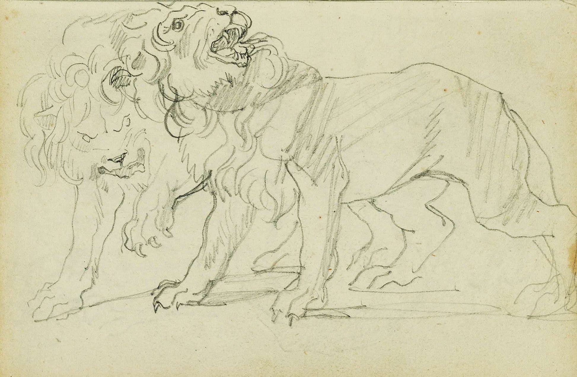 Pair Of Lions  by Theodore Gericault