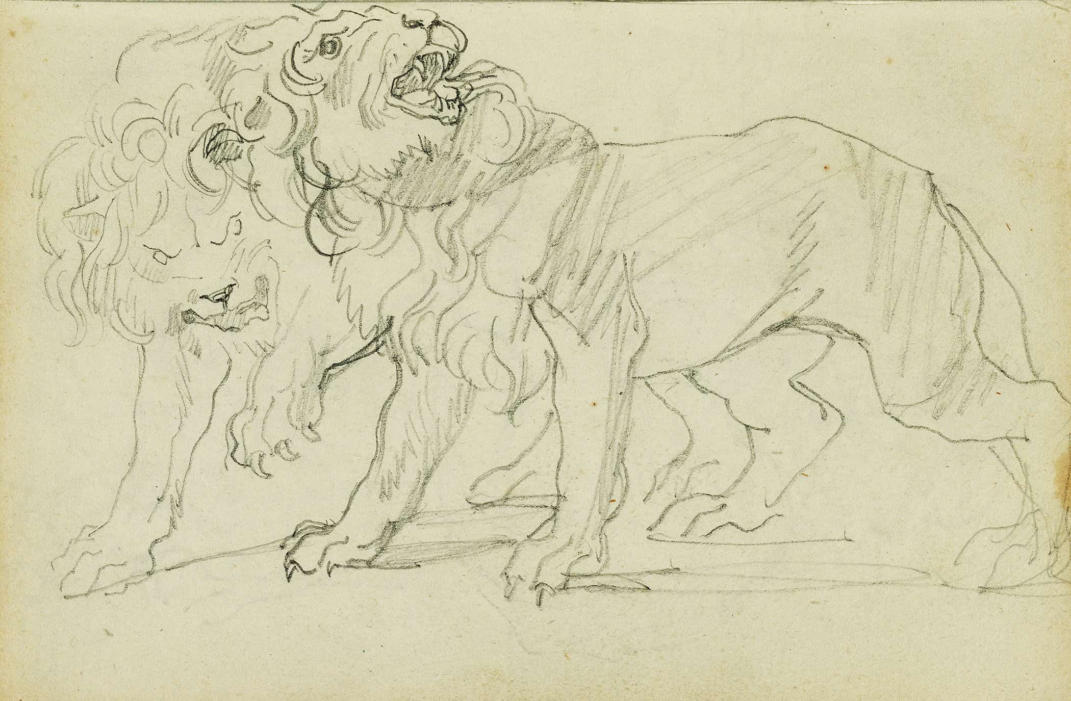 Pair Of Lions  by Theodore Gericault