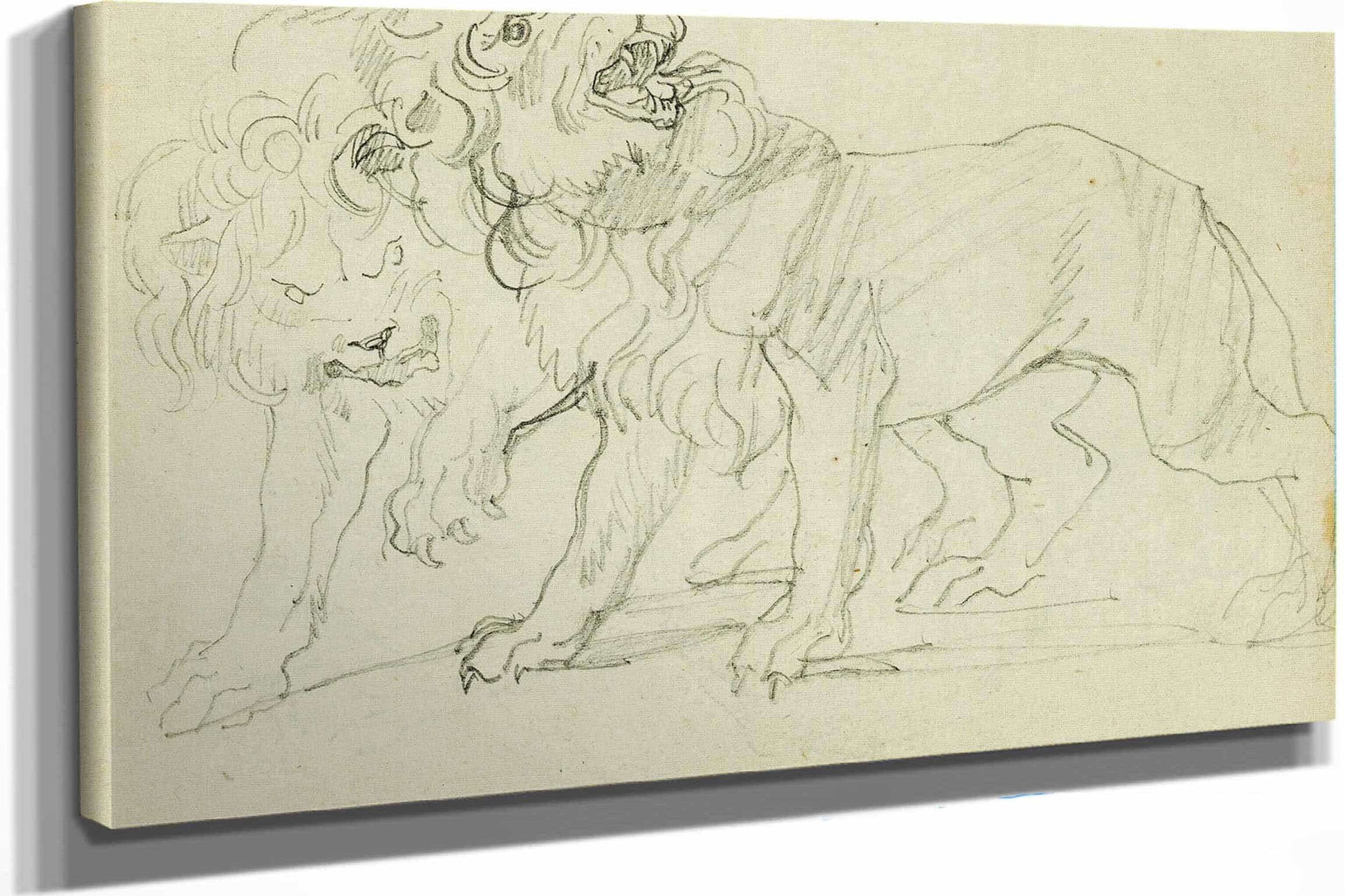 Pair Of Lions  by Theodore Gericault