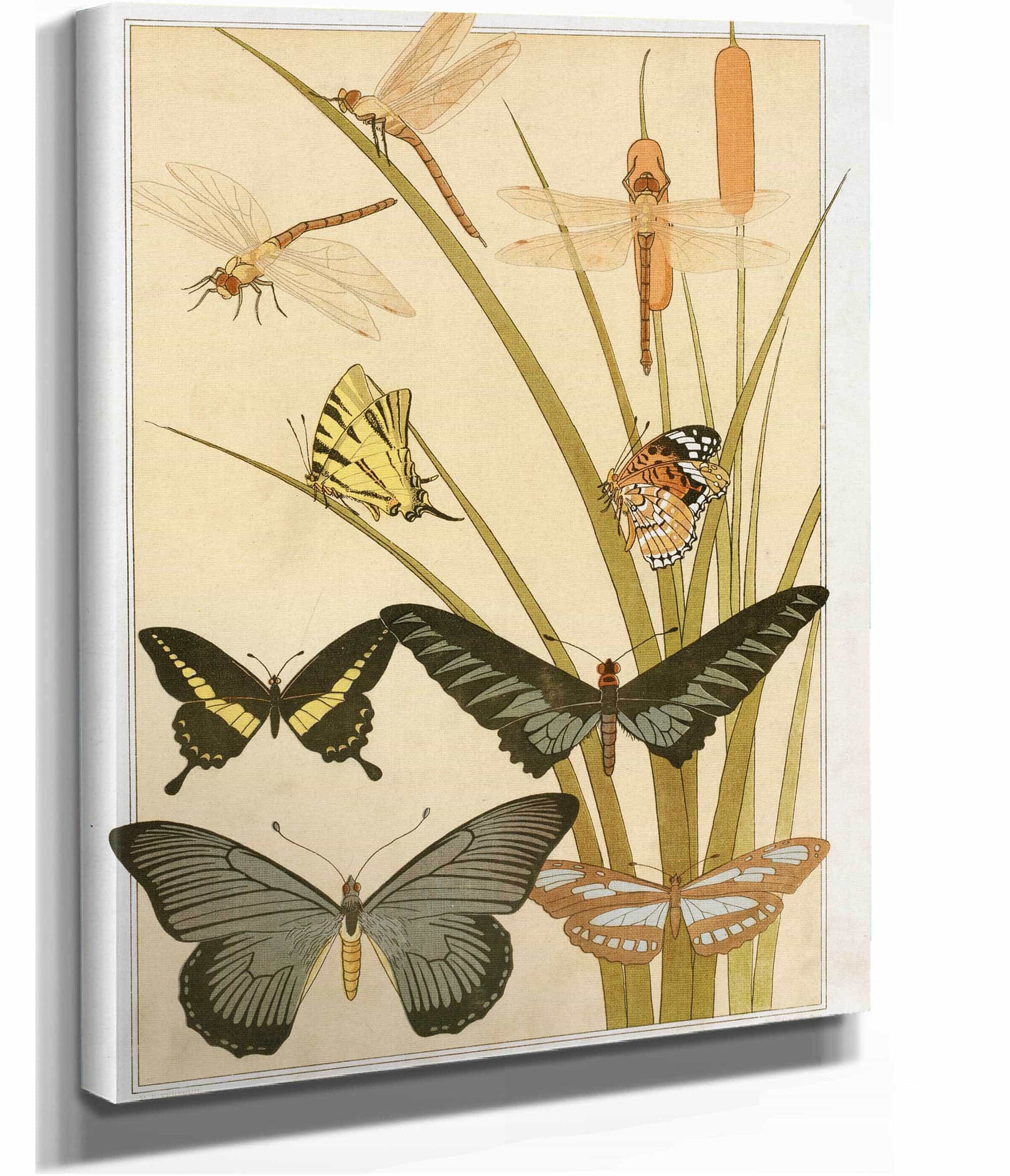 Papillons by Maurice Pillard Verneuil