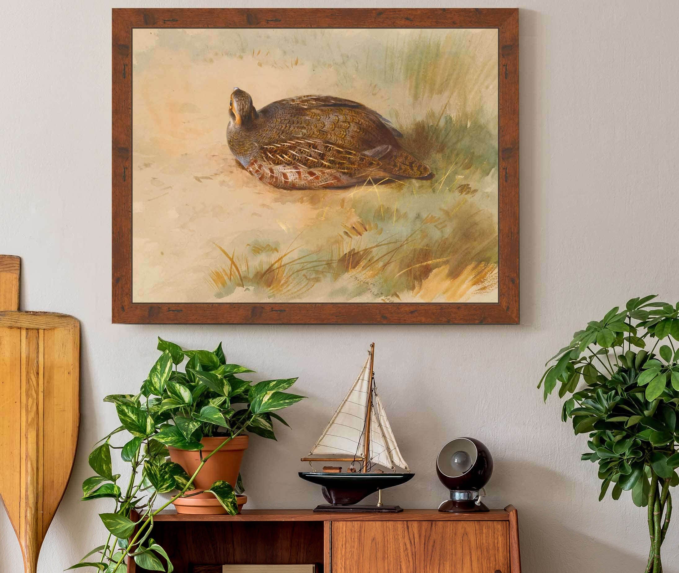 Partridge by Archibald Thorburn