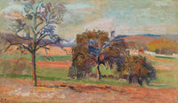 Paysage Boise by Armand Guillaumin