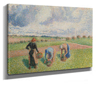 Paysannes Ramassant Des Herbes Eragny by Camille Pissarro