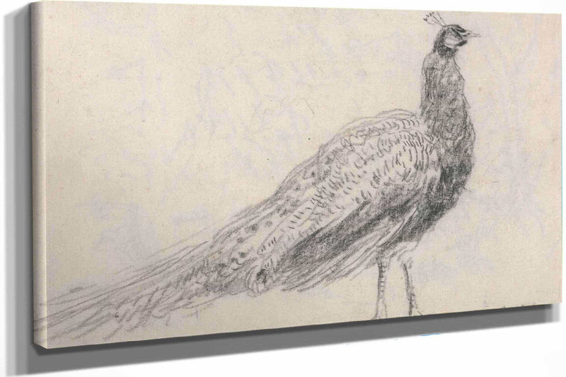 Peacock At Capel Curig S by David Cox