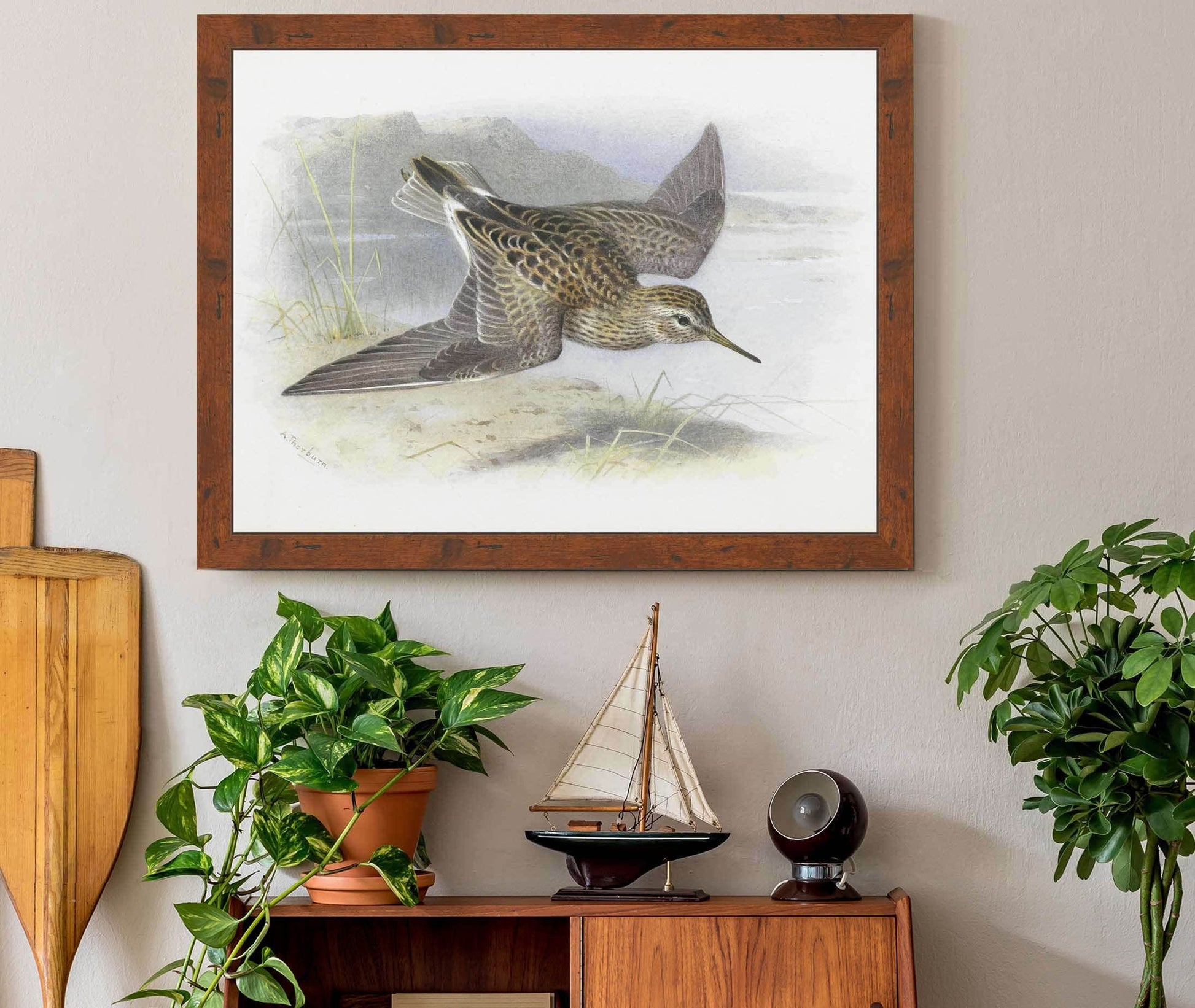 Pectoral Sandpiper by Archibald Thorburn